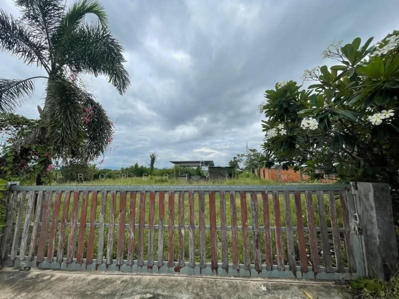 ที่ดินป่าซาง ลำพูน, ลำพูน, ป่าซาง, ลำพูน, 8,396 ตร.ม., ที่ดิน ขาย, โดย The Best Property หนิง, 500507077 - DDproperty.com