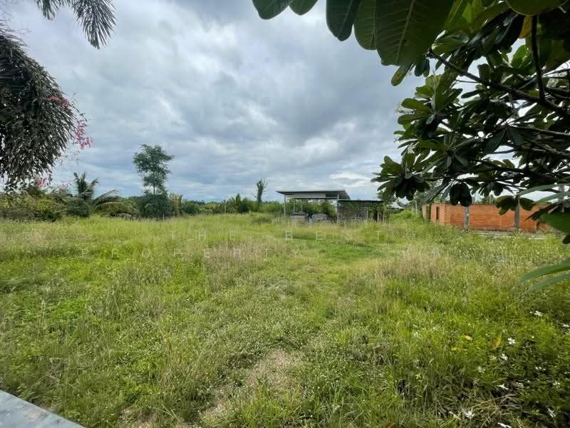 ที่ดินป่าซาง ลำพูน, Lamphun, Pa-Sang, Pa Sang, Lamphun, , 8,396 sqm, Land For Sale, by The Best Property หนิง, 500507077 - DDproperty.com