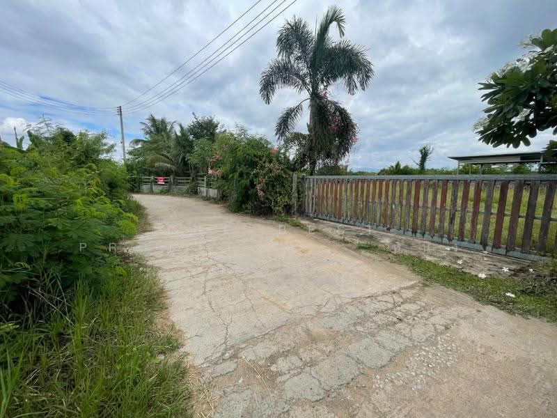 ที่ดินป่าซาง ลำพูน, Lamphun, Pa-Sang, Pa Sang, Lamphun, , 8,396 sqm, Land For Sale, by The Best Property หนิง, 500507077 - DDproperty.com