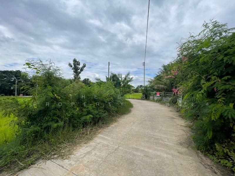 ที่ดินป่าซาง ลำพูน, Lamphun, Pa-Sang, Pa Sang, Lamphun, , 8,396 sqm, Land For Sale, by The Best Property หนิง, 500507077 - DDproperty.com
