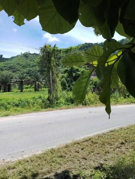 ที่ดิน นครนายก, นครนายก, เขาพระ, เมืองนครนายก, นครนายก, 8,116 ตร.ม., ที่ดิน ขาย, โดย Super B Estate Co., Ltd, 500507129 - DDproperty.com