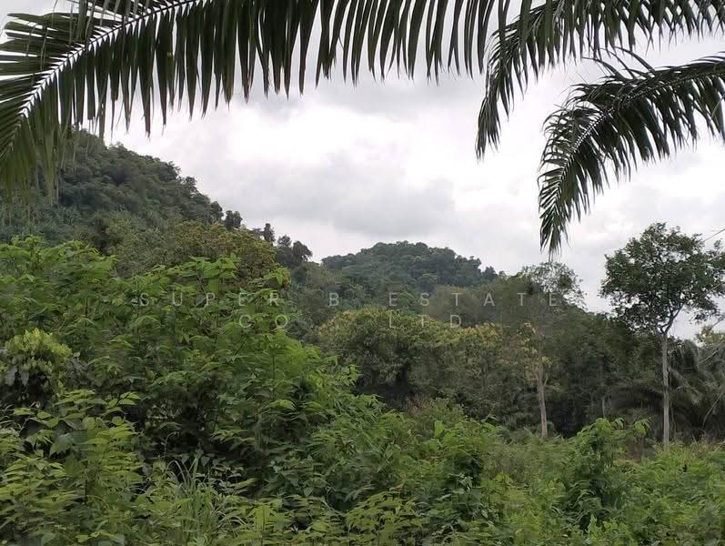 ที่ดิน นครนายก, Nakhon Nayok, Khao Phra, Muang Nakhon Nayok, Nakhon Nayok, , 8,116 sqm, Land For Sale, by Super B Estate Co., Ltd, 500507129 - DDproperty.com