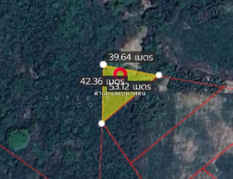 ที่ดิน นครนายก, นครนายก, เขาพระ, เมืองนครนายก, นครนายก, 8,116 ตร.ม., ที่ดิน ขาย, โดย Super B Estate Co., Ltd, 500507129 - DDproperty.com