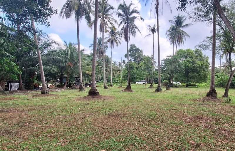 ที่ดินท่างิ้ว นครศรีธรรมราช, นครศรีธรรมราช, ท่างิ้ว, เมืองนครศรีธรรมราช, นครศรีธรรมราช, 7,981 ตร.ม., ที่ดิน ขาย, โดย The Best Property เบล, 500507158 - DDproperty.com