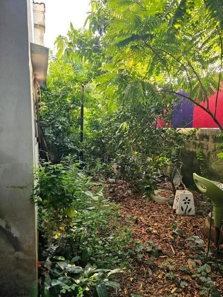 Buathong Thani, Nonthaburi, Soi Buathong Thani Village, Bang Bua Thong, Nonthaburi, 3 Bedrooms, 120 sqm, Townhouse For Sale, by Seerana Vongpanyavej, 500507202 - DDproperty.com