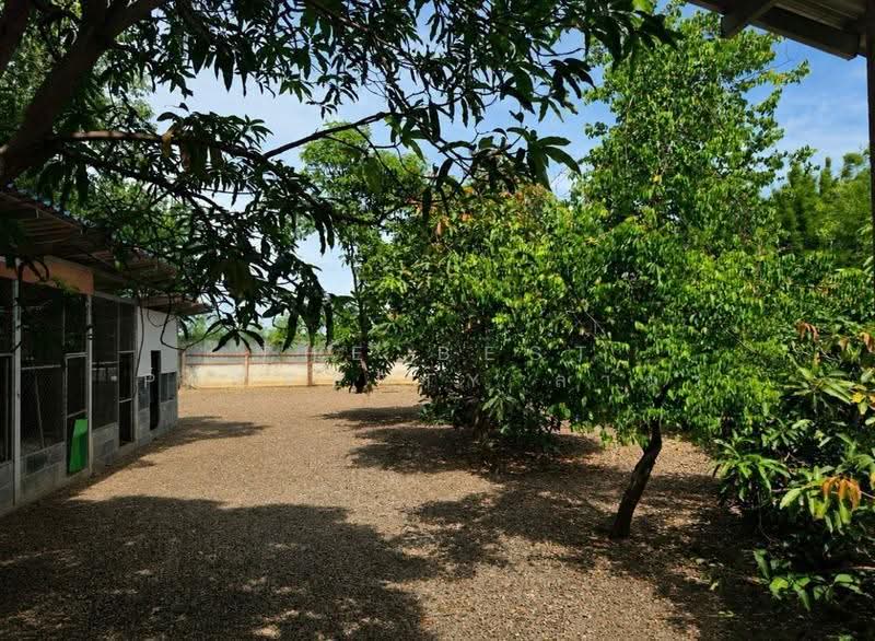 บ้านเดี่ยวพร้อมที่ดินพัฒนานิคม ลพบุรี, Lop Buri, Phatthana Nikhom, Lop Buri, 2 Bedrooms, 150 sqm, Single Detached House For Sale, by The Best Property ลาน่า, 500507317 - DDproperty.com