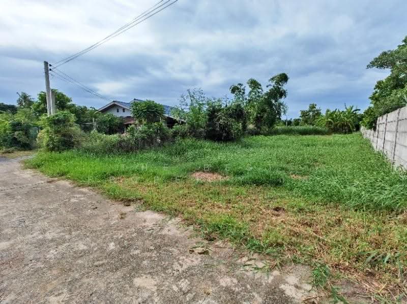 ที่ดินสวนป่าน นครปฐม, นครปฐม, สวนป่าน, เมืองนครปฐม, นครปฐม, 534 ตร.ม., ที่ดิน ขาย, โดย The Best Property กร, 500507325 - DDproperty.com
