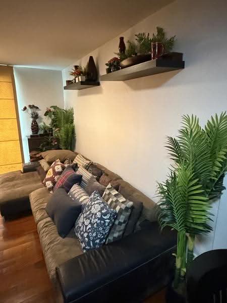 49 Plus, Bangkok, Soi Sukhumvit 49, Khlong Tan Nua, Watthana, Bangkok, 1 Bedroom, 51 sqm, Condo For Rent, by Shinyu Real Estate, 500507364 - DDproperty.com