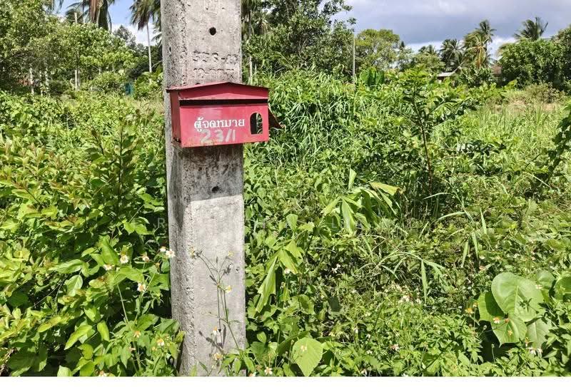 ที่ดินเปล่า หลังปั๊ม PTT วัดประดู่ สุราษฎร์ธานี, Surat Thani, Wat Pradu, Muang Surat Thani, Surat Thani, , 204 sqm, Land For Sale, by ERA Thailand, 500507408 - DDproperty.com