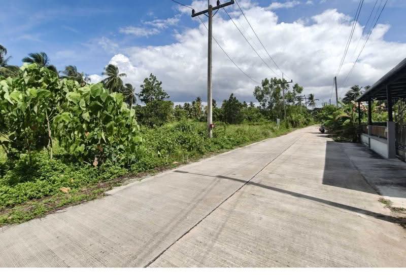 ที่ดินเปล่า หลังปั๊ม PTT วัดประดู่ สุราษฎร์ธานี, Surat Thani, Wat Pradu, Muang Surat Thani, Surat Thani, , 204 sqm, Land For Sale, by ERA Thailand, 500507408 - DDproperty.com