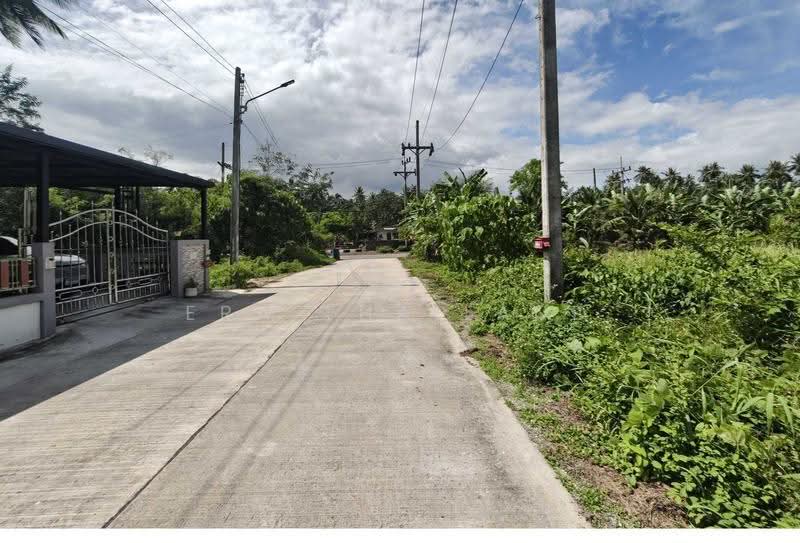 ที่ดินเปล่า หลังปั๊ม PTT วัดประดู่ สุราษฎร์ธานี, Surat Thani, Wat Pradu, Muang Surat Thani, Surat Thani, , 204 sqm, Land For Sale, by ERA Thailand, 500507408 - DDproperty.com