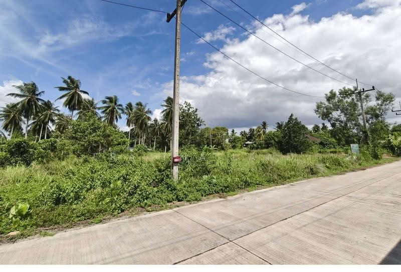 ที่ดินเปล่า หลังปั๊ม PTT วัดประดู่ สุราษฎร์ธานี, Surat Thani, Wat Pradu, Muang Surat Thani, Surat Thani, , 204 sqm, Land For Sale, by ERA Thailand, 500507408 - DDproperty.com