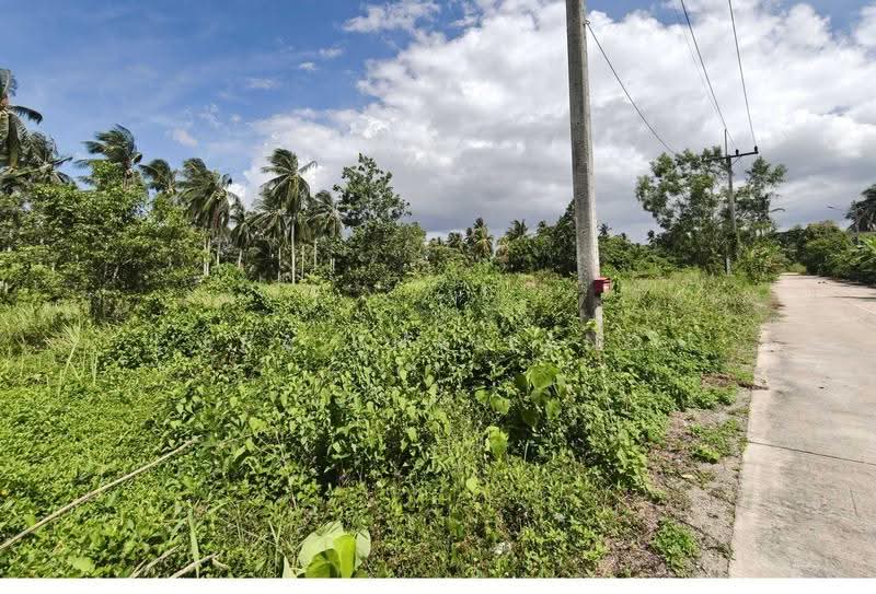 ที่ดินเปล่า หลังปั๊ม PTT วัดประดู่ สุราษฎร์ธานี, Surat Thani, Wat Pradu, Muang Surat Thani, Surat Thani, , 204 sqm, Land For Sale, by ERA Thailand, 500507408 - DDproperty.com