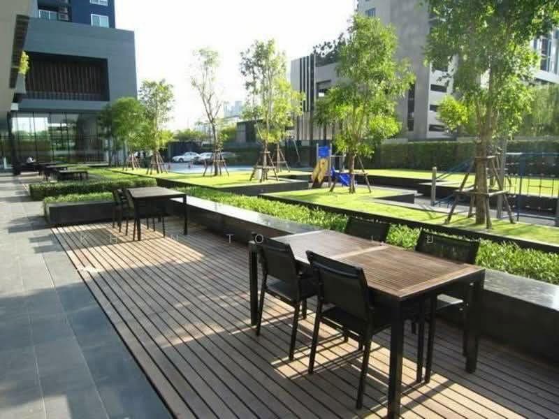 The Base Sukhumvit 77 : เดอะ เบส สุขุมวิท 77, กรุงเทพ, 289 ถนนสุขุมวิท 77, พระโขนงเหนือ, วัฒนา, กรุงเทพ, 37 ตร.ม., คอนโด ให้เช่า, โดย Khun Toey เตย, 500507443 - DDproperty.com