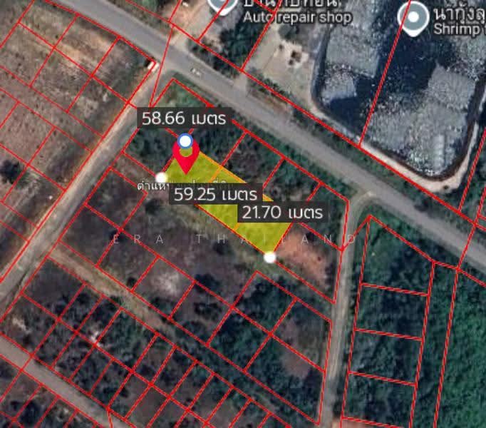ที่ดินเปล่ากาญจนดิษฐ์ - ทุ่งกง | ใกล้ถนนใหญ่, Surat Thani, Thung Kong, Kanchanadit, Surat Thani, , 1,204 sqm, Land For Sale, by ERA Thailand, 500507448 - DDproperty.com