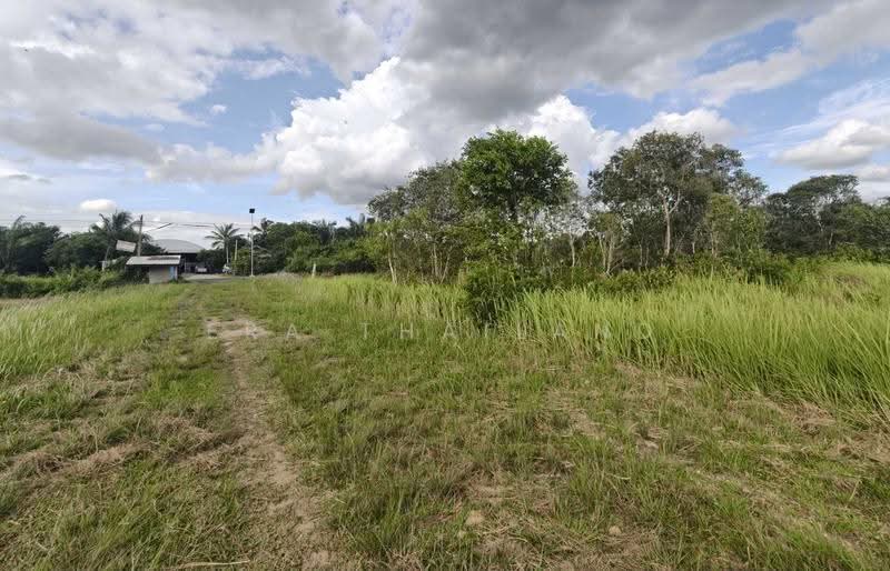 ที่ดินเปล่ากาญจนดิษฐ์ - ทุ่งกง | ใกล้ถนนใหญ่, Surat Thani, Thung Kong, Kanchanadit, Surat Thani, , 1,204 sqm, Land For Sale, by ERA Thailand, 500507448 - DDproperty.com