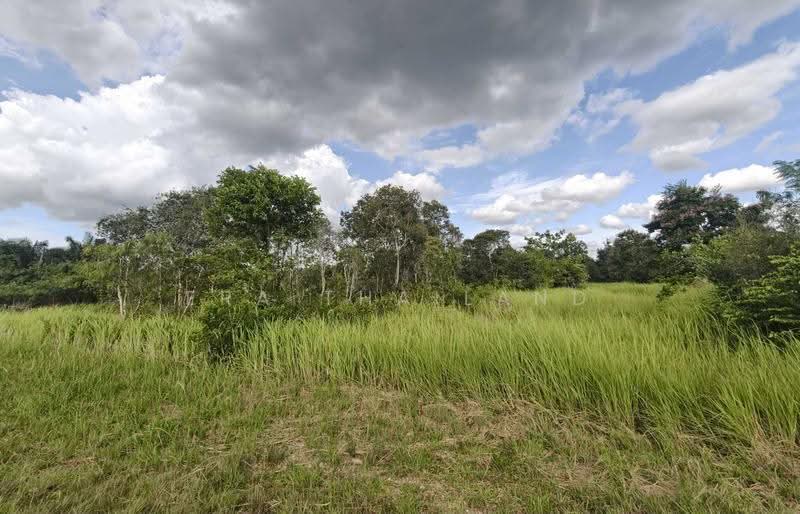 ที่ดินเปล่ากาญจนดิษฐ์ - ทุ่งกง | ใกล้ถนนใหญ่, Surat Thani, Thung Kong, Kanchanadit, Surat Thani, , 1,204 sqm, Land For Sale, by ERA Thailand, 500507448 - DDproperty.com