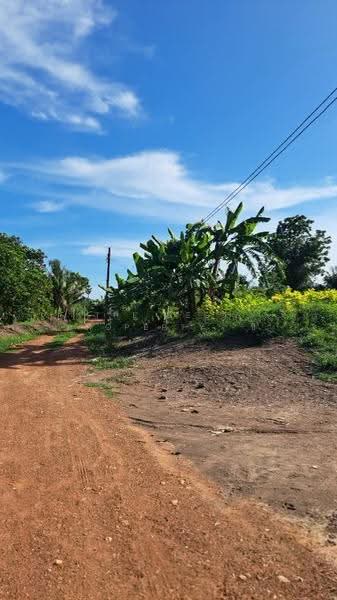 ที่ดินบางคล้า ฉะเชิงเทรา, ฉะเชิงเทรา, บางคล้า, ฉะเชิงเทรา, 1,760 ตร.ม., ที่ดิน ขาย, โดย The Best Property  ซี, 500507472 - DDproperty.com
