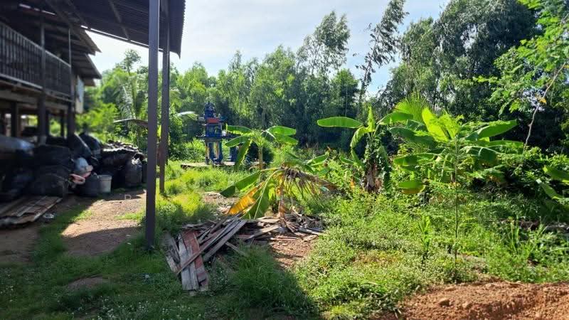 ที่ดินบางคล้า ฉะเชิงเทรา, Chachoengsao, Bang Khla, Chachoengsao, , 1,760 sqm, Land For Sale, by The Best Property  ซี, 500507472 - DDproperty.com