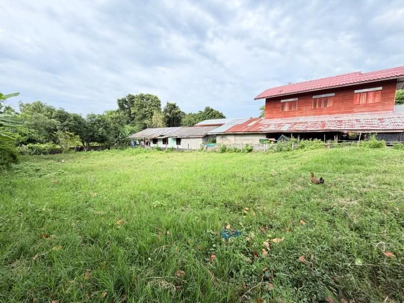 บ้านเดี่ยวนามน กาฬสินธุ์, Kalasin, Yot Kaeng, Na Mon, Kalasin, 2 Bedrooms, 150 sqm, Single Detached House For Sale, by The Best Property แนน, 500507535 - DDproperty.com