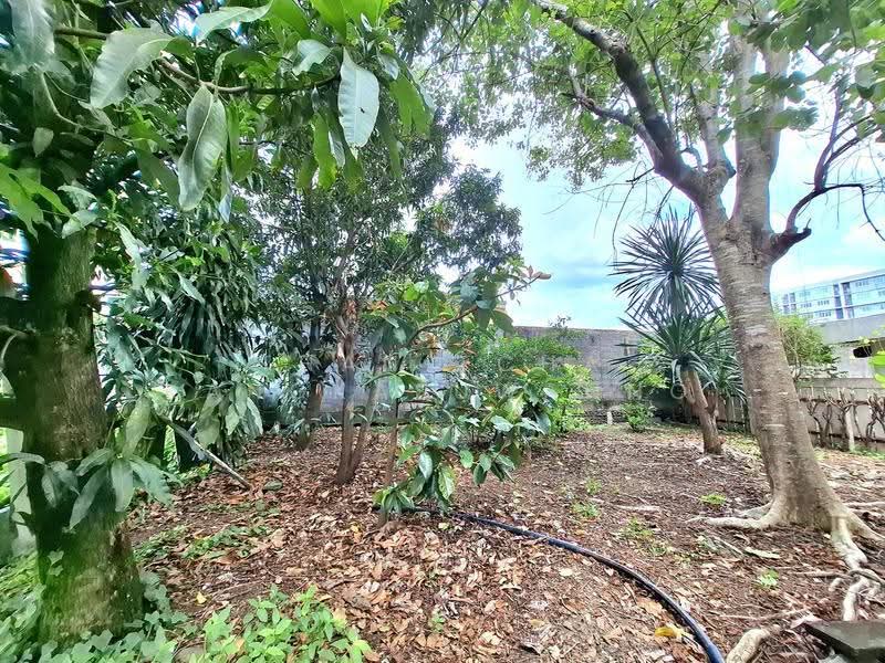 ที่ดินพร้อมบ้าน รามอินทรา, Bangkok, Tha Rang, Bang Khen, Bangkok, , 396 sqm, Land For Sale, by Thanitcha Kangkasuwanno, 500507542 - DDproperty.com