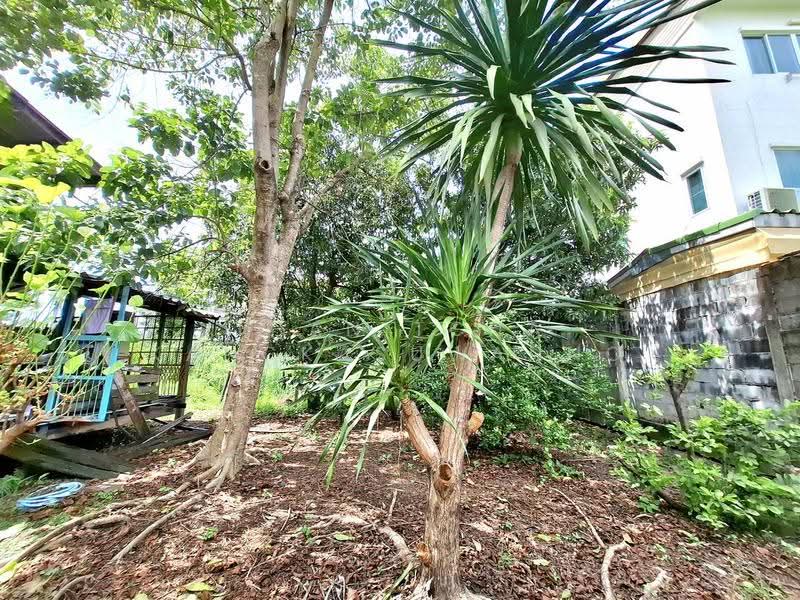 ที่ดินพร้อมบ้าน รามอินทรา, กรุงเทพ, ท่าแร้ง, บางเขน, กรุงเทพ, 396 ตร.ม., ที่ดิน ขาย, โดย Thanitcha Kangkasuwanno, 500507542 - DDproperty.com