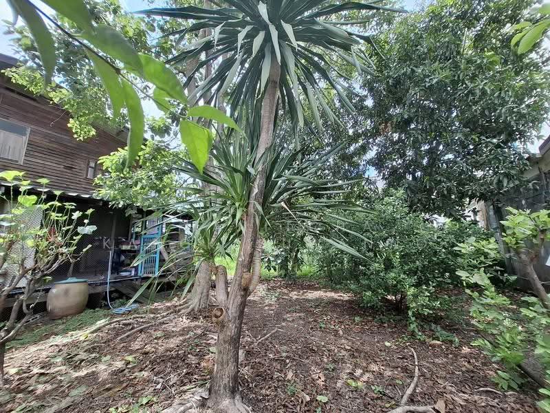 ที่ดินพร้อมบ้าน รามอินทรา, Bangkok, Tha Rang, Bang Khen, Bangkok, , 396 sqm, Land For Sale, by Thanitcha Kangkasuwanno, 500507542 - DDproperty.com