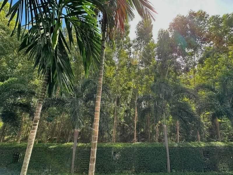 Dusit Grand Park, Chon Buri (Pattaya), 384/206, Moo 12, Jomtiensaineung Road, Bang Lamung, Bang Lamung (Pattaya), Chon Buri (Pattaya), 1 Bedroom, 35 sqm, Condo For Sale, by Pukkawadee Thapmathi, 500507705 - DDproperty.com