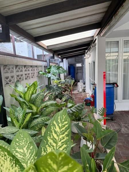 Prachachuen Village, Nonthaburi, Bang Talat, Pak Kret, Nonthaburi, 3 Bedrooms, 170 sqm, Single Detached House For Sale, by Connex Property, 500507838 - DDproperty.com