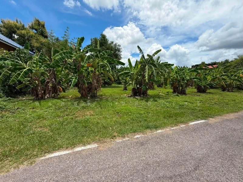 LumphunLand, Lamphun, Muang Nga, Muang Lamphun, Lamphun, , 3,456 sqm, Land For Sale, by พงศ์สุธี เหลืองเสรี, 500507950 - DDproperty.com