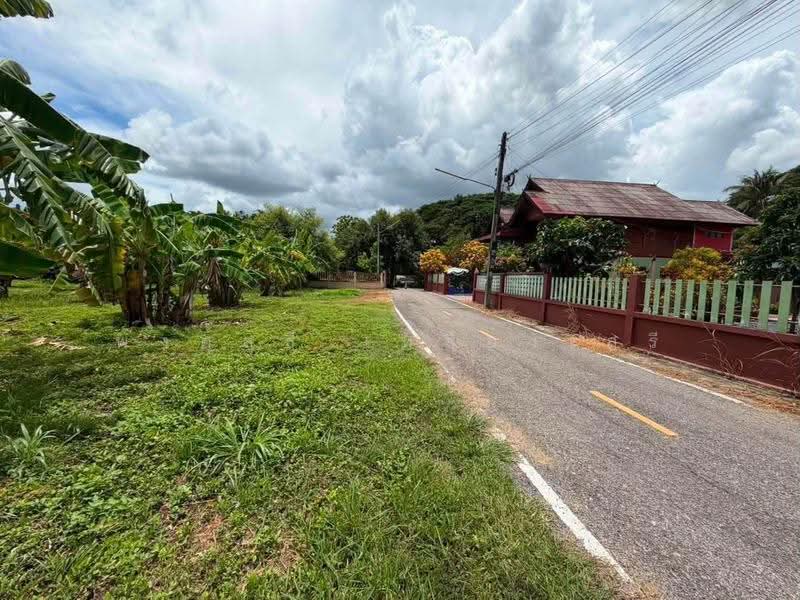 ที่ดินลำพูน, ลำพูน, เหมืองง่า, เมืองลำพูน, ลำพูน, 3,456 ตร.ม., ที่ดิน ขาย, โดย พงศ์สุธี เหลืองเสรี, 500507950 - DDproperty.com