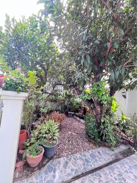 undefined, กรุงเทพ, จรเข้บัว, ลาดพร้าว, กรุงเทพ, 140 ตร.ม., บ้านเดี่ยว ขาย, โดย Pemika Aukkaraleekul, 500508229 - DDproperty.com