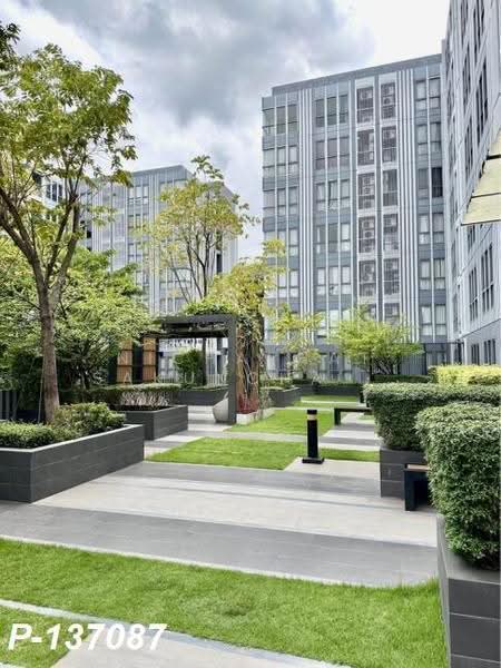 Moniiq Sukhumvit 64, Bangkok, Soi Sukhumvit 64, Bang Chak, Phra Khanong, Bangkok, 1 Bedroom, 28 sqm, Condo For Rent, by Nichaphat Sakunchayapha, 500508243 - DDproperty.com