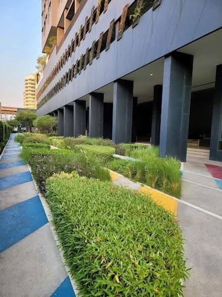 IDEO Sukhumvit 93, Bangkok, 2331 Soi Sukhumvit 93, Bang Chak, Phra Khanong, Bangkok, 1 Bedroom, 32 sqm, Condo For Sale, by Pemika Aukkaraleekul, 500508476 - DDproperty.com