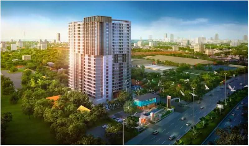 The Trust Condo South Pattaya : เดอะ ทรัสต์ คอนโด พัทยาใต้, ชลบุรี, 235 สุขุมวิท, ห้วยใหญ่, บางละมุง, ชลบุรี, 31 ตร.ม., คอนโด ขาย, โดย Nattasak Poosuwan, 500508503 - DDproperty.com