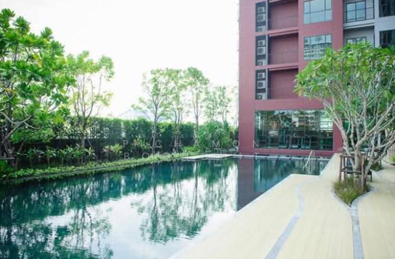 Wyne Sukhumvit, Bangkok, 1120 Sukhumvit Road, Phra Kanong, Khlong Toei, Bangkok, 1 Bedroom, 35 sqm, Condo For Sale, by Pichamon Boonchit, 500508619 - DDproperty.com