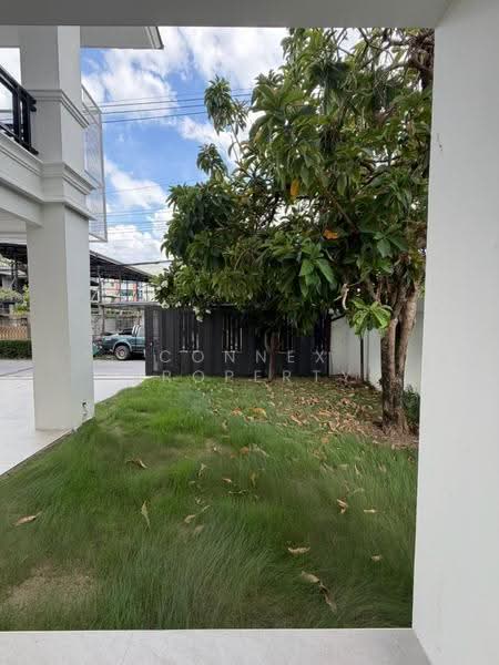 Newly renovated detached house in the heart of Chokchai 4, Bangkok, , Lat Phrao, Bangkok, 4 Bedrooms, 291 sqm, Single Detached House For Rent, by Connex Property, 500508653 - DDproperty.com
