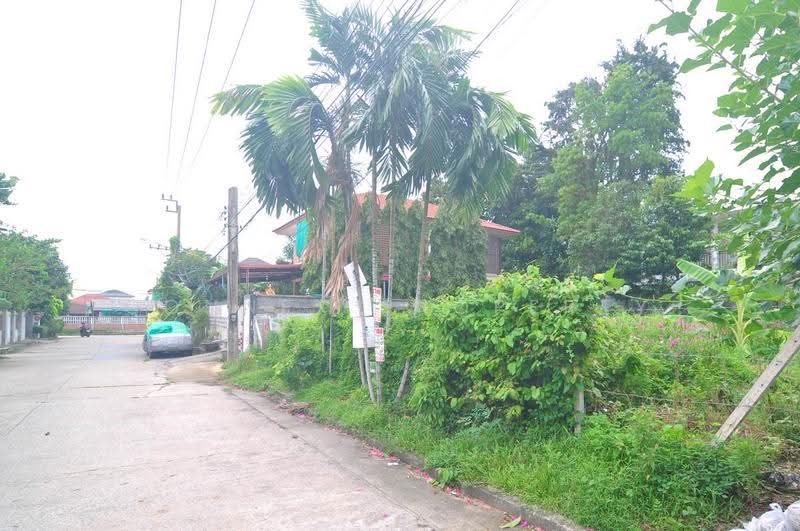 Land of sukhontee village, Bangkok, ลาดปลาเค้า, Anusaowari, Bang Khen, Bangkok, , 312 sqm, Land For Sale, by Connex Property, 500508783 - DDproperty.com