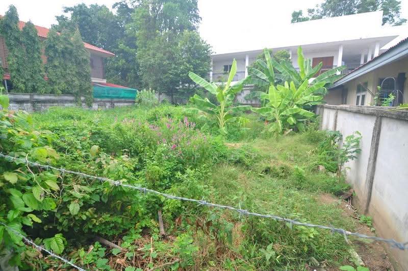 Land of sukhontee village, Bangkok, ลาดปลาเค้า, Anusaowari, Bang Khen, Bangkok, , 312 sqm, Land For Sale, by Connex Property, 500508783 - DDproperty.com