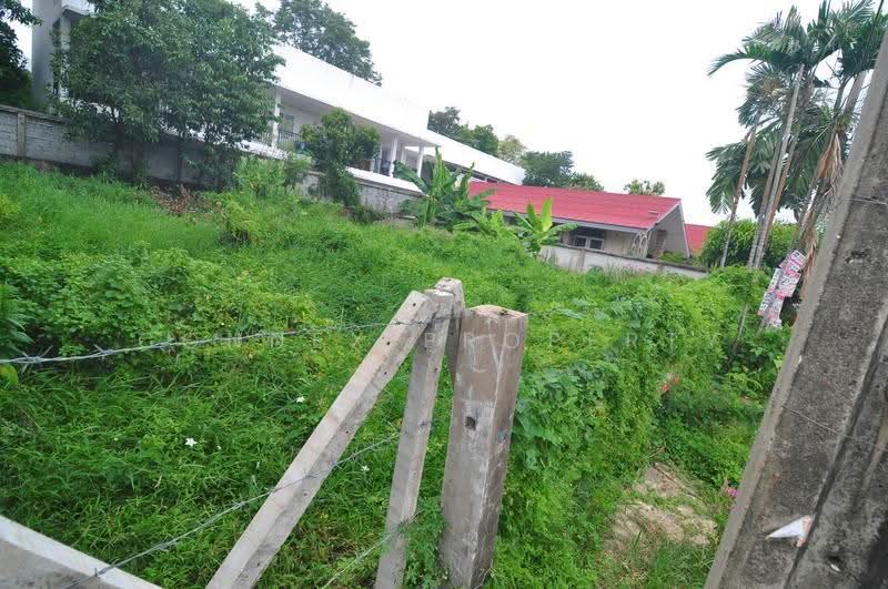 Land of sukhontee village, Bangkok, ลาดปลาเค้า, Anusaowari, Bang Khen, Bangkok, , 312 sqm, Land For Sale, by Connex Property, 500508783 - DDproperty.com