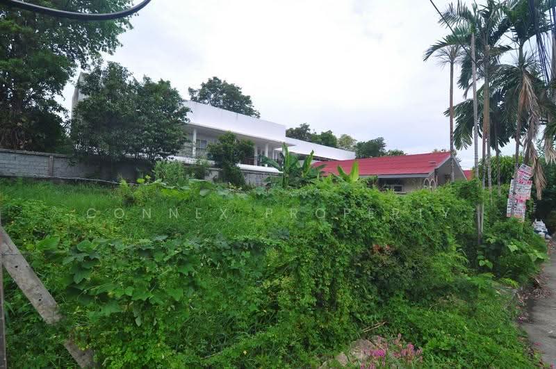 Land of sukhontee village, Bangkok, ลาดปลาเค้า, Anusaowari, Bang Khen, Bangkok, , 312 sqm, Land For Sale, by Connex Property, 500508783 - DDproperty.com