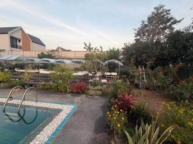 Single - storey house, 400 square wa, Bang Lamung, Chon Buri (Pattaya), , Nong Pla Lai, Bang Lamung (Pattaya), Chon Buri (Pattaya), 3 Bedrooms, 500 sqm, Single Detached House For Sale, by Connex Property, 500508895 - DDproperty.com