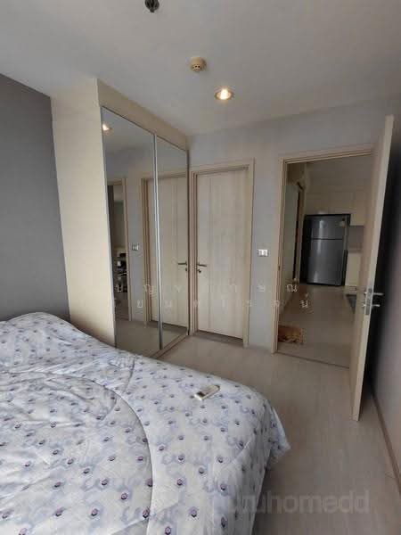 Rhythm Sukhumvit 42, Bangkok, Soi Sukhumvit 42, Sukhumvit Road, Phra Kanong, Khlong Toei, Bangkok, 2 Bedrooms, 78 sqm, Condo For Rent, by เบญจลักษณ์ กิติยนต์โรจน์, 500508931 - DDproperty.com