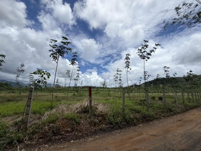 Land for sale Pla khok, Phuket, , Sri Sunthon, Thalang, Phuket, , 28,800 sqm, Land For Sale, by Connex Property, 500508937 - DDproperty.com