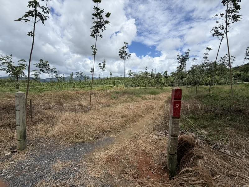 Land for sale Pla khok, Phuket, , Sri Sunthon, Thalang, Phuket, , 28,800 sqm, Land For Sale, by Connex Property, 500508937 - DDproperty.com