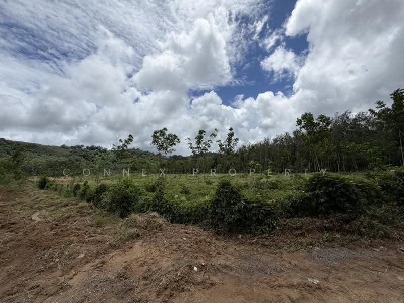 Land for sale Pla khok, Phuket, , Sri Sunthon, Thalang, Phuket, , 28,800 sqm, Land For Sale, by Connex Property, 500508937 - DDproperty.com