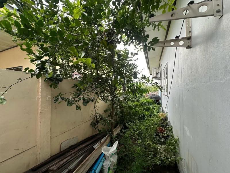 บ้านร่มไทร, นนทบุรี, ถนนบางบัวทองสุพรรณบุรี, ราษฎร์นิยม, ไทรน้อย, นนทบุรี, 120 ตร.ม., บ้านเดี่ยว ขาย, โดย Connex Property, 500508973 - DDproperty.com