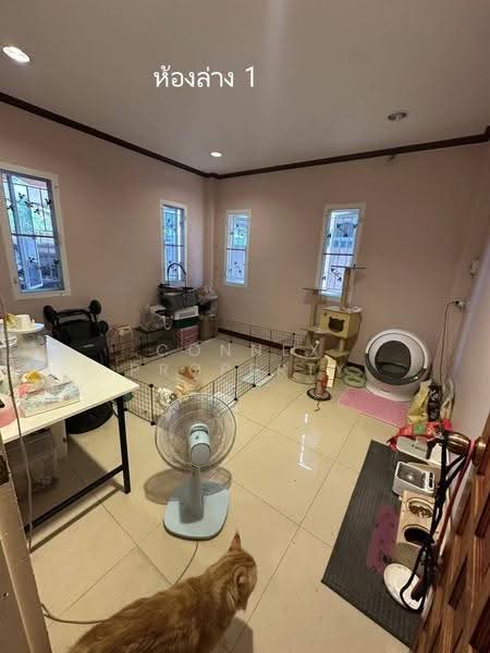 2 - storey house 60 square wa Rama 2 Road, Chom Thong Bangkok, Bangkok, พระราม 2, Bangmot, Chom Thong, Bangkok, 9 Bedrooms, 200 sqm, Single Detached House For Sale, by Connex Property, 500508989 - DDproperty.com