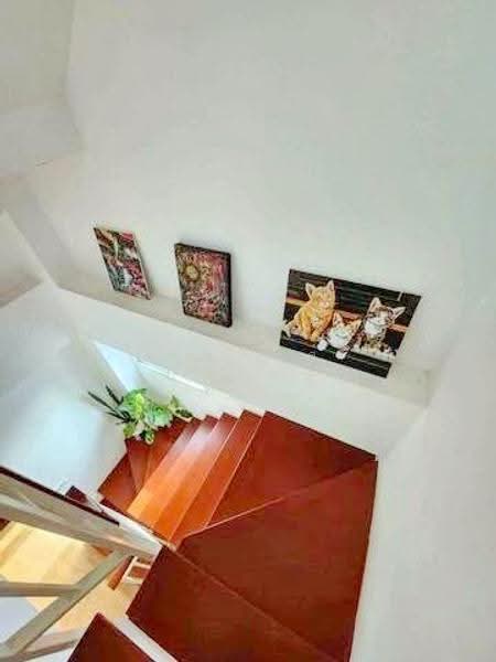 ไม่พบโครงการ, Bangkok, รัชดาภิเษก, Jom Phon, Chatuchak, Bangkok, , 240 sqm, Shophouse For Rent, by ณัฐพงศ์ สุนทรอรุณ, 500508998 - DDproperty.com