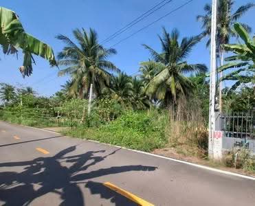 ขาย - ที่ดินคลองเขิน สมุทรสงคราม, สมุทรสงคราม